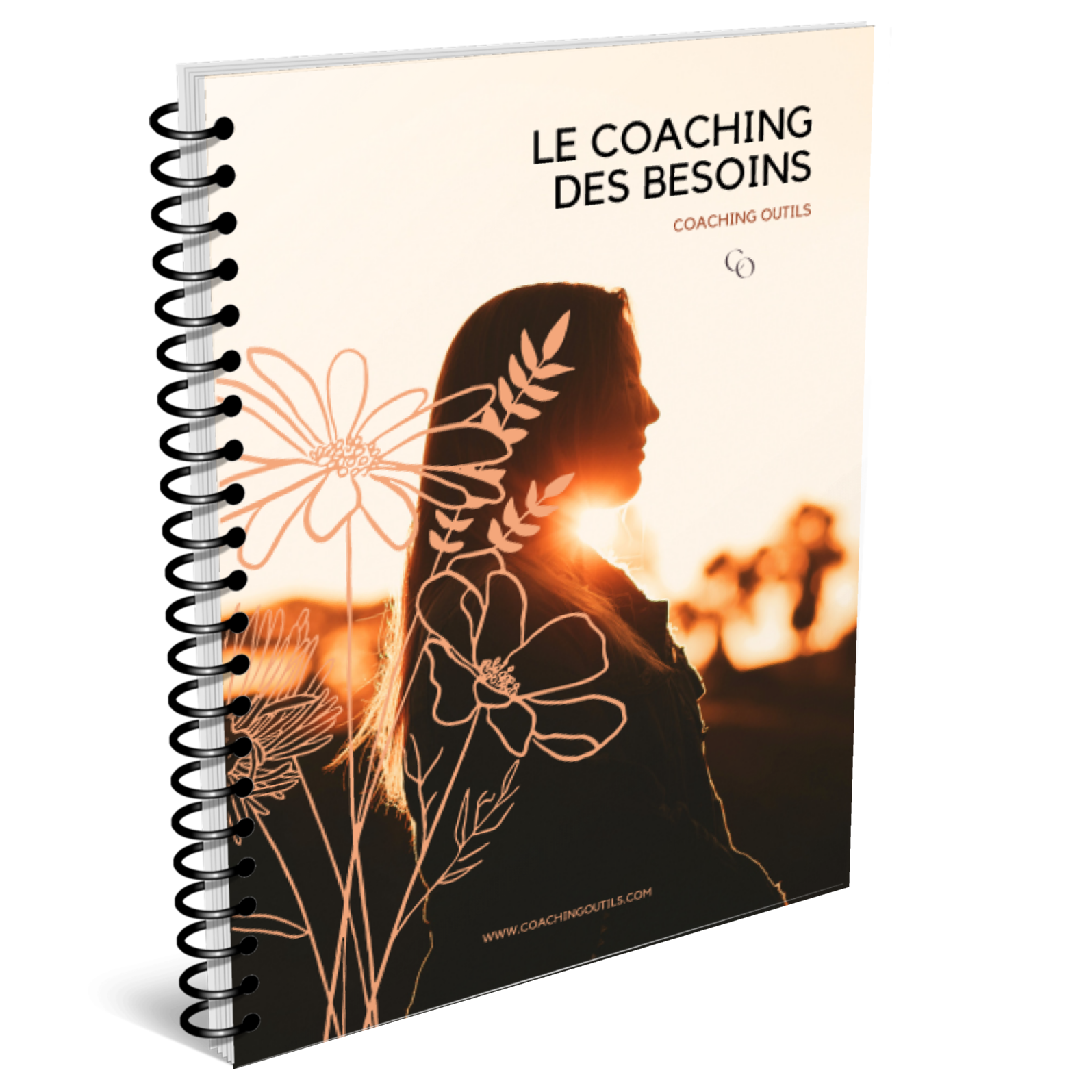 outils de coaching coaching de vie la roue de la vie